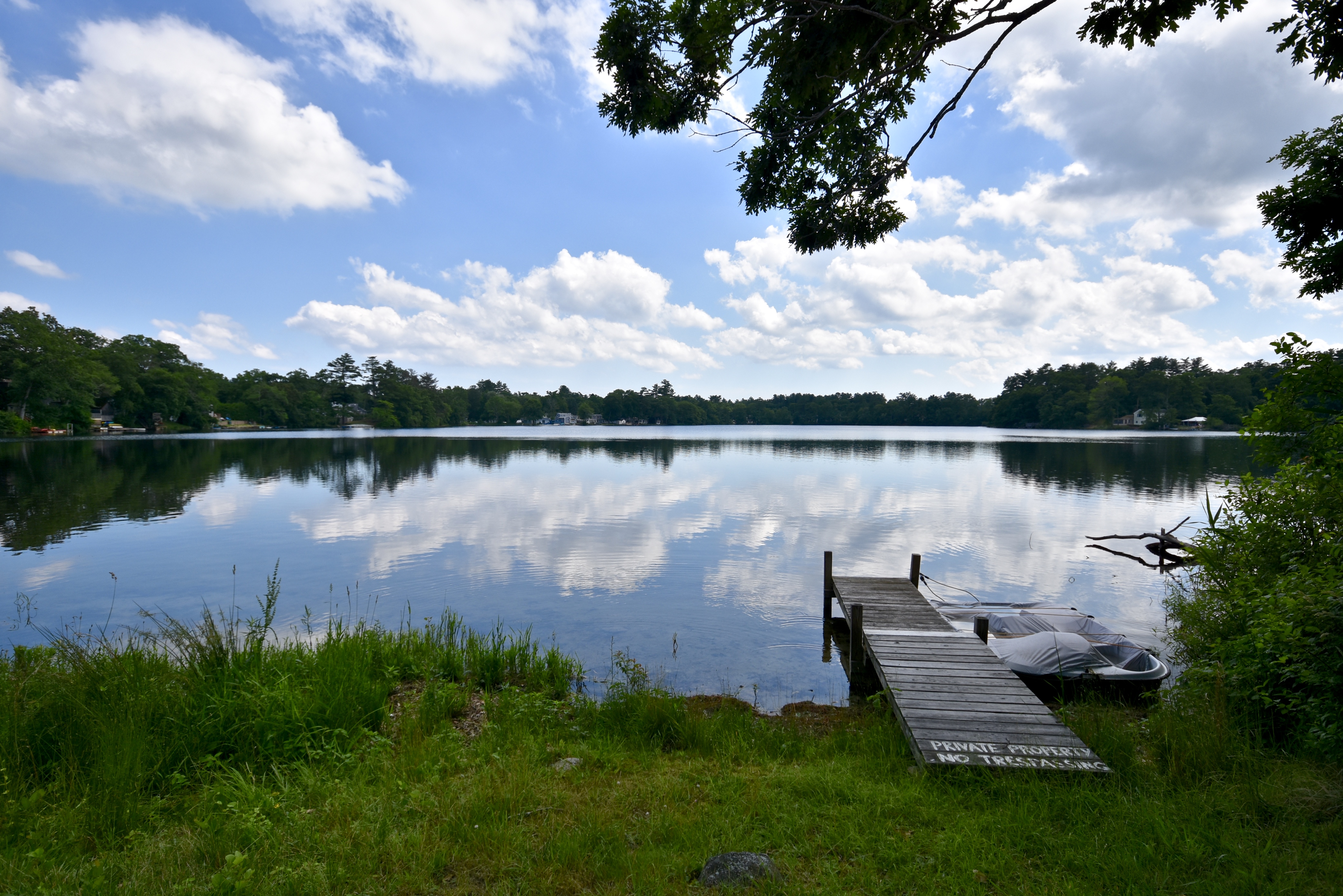 5D217419-CF87-4300-99D2-1E28DF4A0857_1_201_a