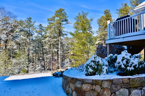 64D54A7C-44AA-465E-8FB6-4584824ACE6E_1_201_a