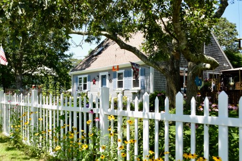 841D7374-9B6D-4625-A7D7-41ED42D41099_1_201_a